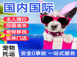 普陀山航空物流国际宠物托运 【国